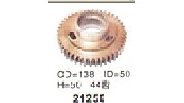 21256